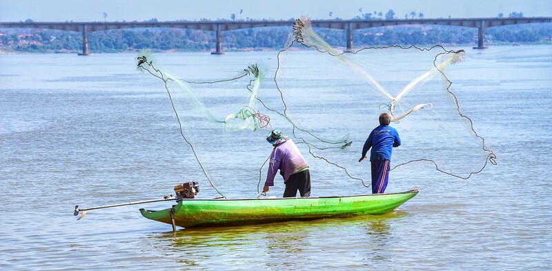 The Mekong River is not only the worlds’ largest inland fishery, but also accounts for 10% of combined global fisheries. It is the source of protein for millions of people.